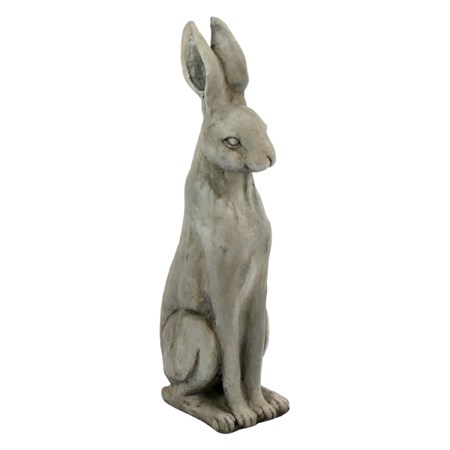 Grey Rabbit