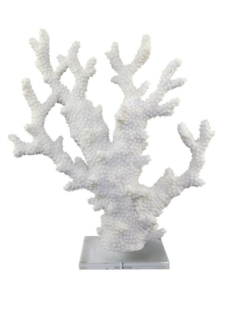 Corals White