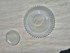 Shell Vanilla charger plate