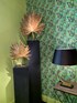 Palmleaf