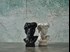 David flowerpot