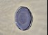Dune Indigo Blue bread plate