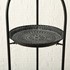 Bellini Dish
