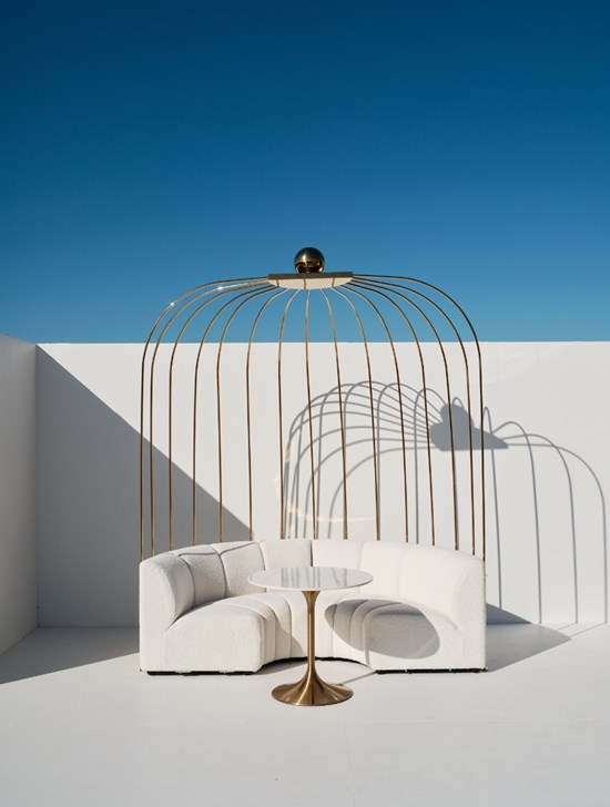 Crown Cage