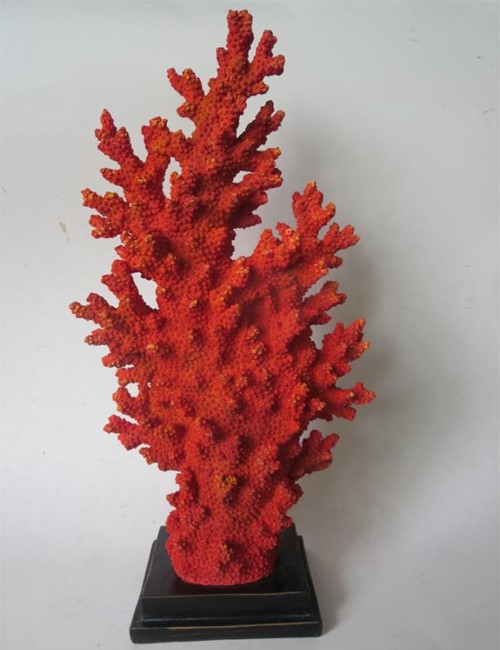 Corals Orange