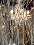 Willow tree