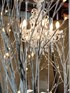Willow tree