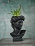 David flowerpot