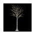 Willow tree