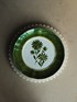 Gaia Green dinner plate