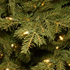 Xmas Tree