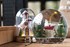 Crystal Sphere