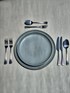 Pacifica Artichoke dinner plate