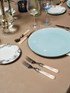 Antar charger plate
