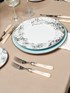 Antar charger plate