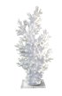 Corals White