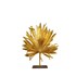Palmleaf