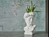 David flowerpot