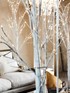 Willow tree