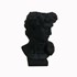 David flowerpot