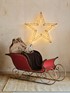 Santa's Sleigh