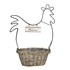 Chicken basket/planter