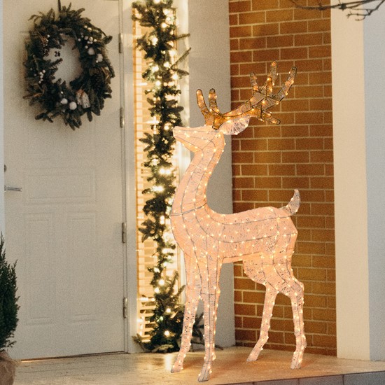 Reindeer