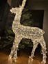Christmas Deer