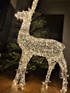 Christmas Deer