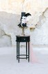 Edward Lamp Table