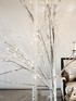 Willow tree