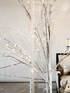 Willow tree