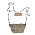 Chicken basket/planter