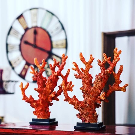 Corals Orange