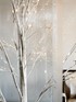 Willow tree