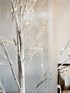 Willow tree