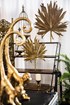 Palmleaf