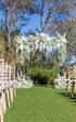 Plexi Chuppah